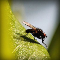 /album/samotnaniezwyboru/photolia-a04-jpg/