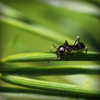 /album/samotnaniezwyboru/photolia-a05-jpg/