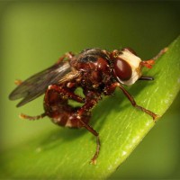 /album/samotnaniezwyboru/photolia-a06-jpg/