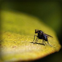 /album/samotnaniezwyboru/photolia-a07-jpg/