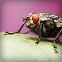 /album/samotnaniezwyboru/photolia-a08-jpg/